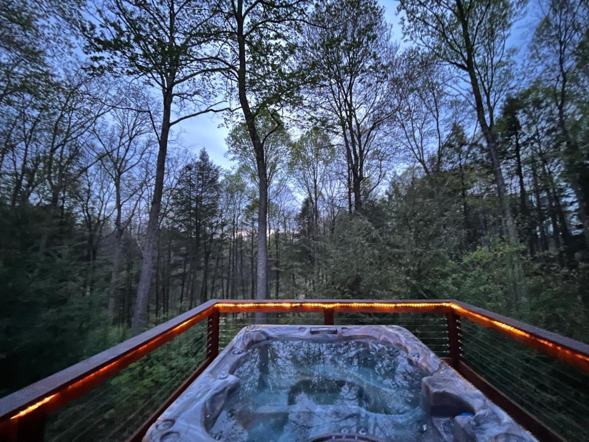 Beautiful Cabin On 83 Acres Near New River Gorge National Park Hico Экстерьер фото