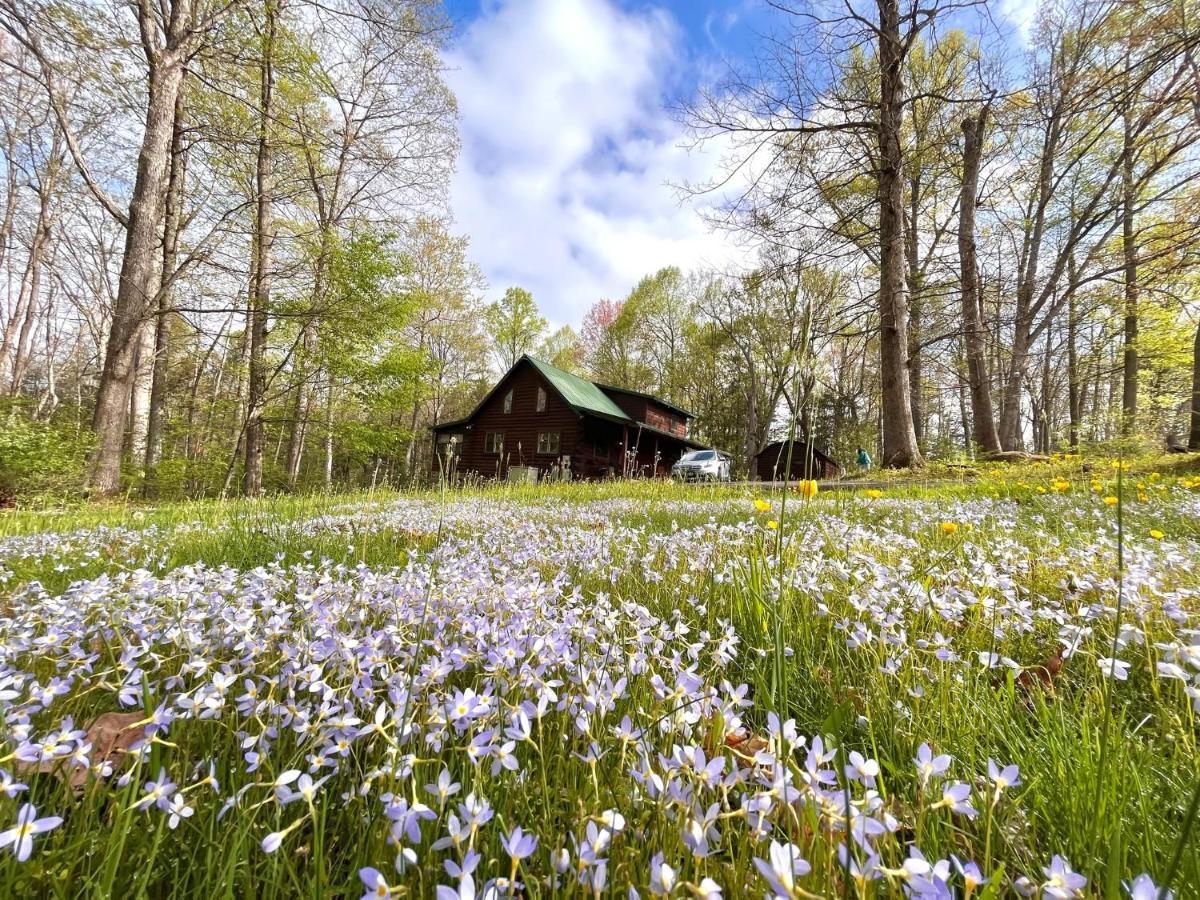 Beautiful Cabin On 83 Acres Near New River Gorge National Park Hico Экстерьер фото