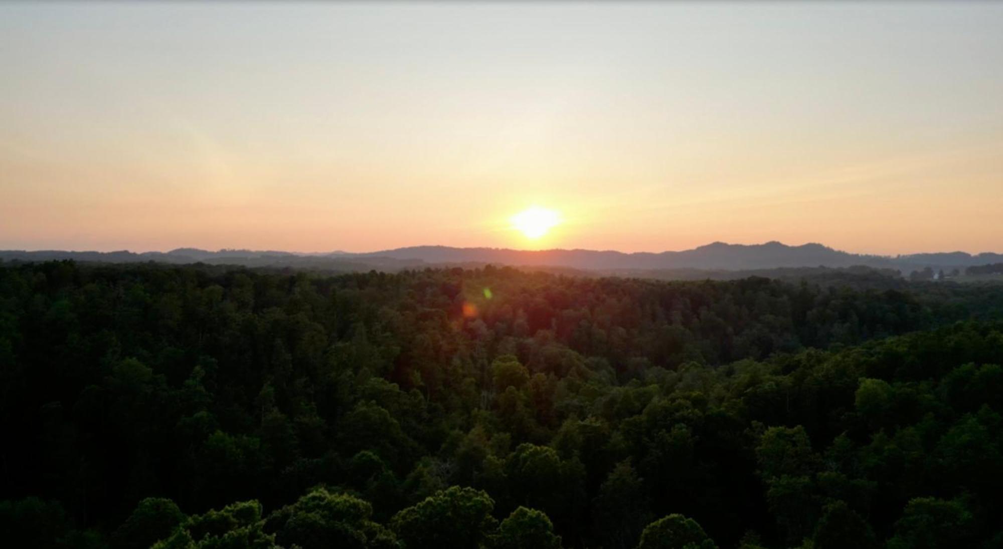 Beautiful Cabin On 83 Acres Near New River Gorge National Park Hico Экстерьер фото